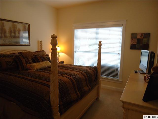 16412 Leavitt Ln, Davidson, NC 28036 photo 10