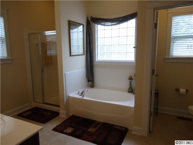 16412 Leavitt Ln, Davidson, NC 28036 photo 8