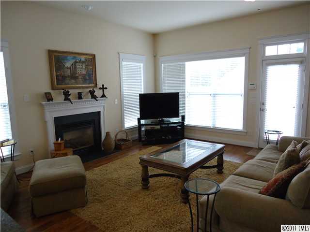 16412 Leavitt Ln, Davidson, NC 28036 photo 3