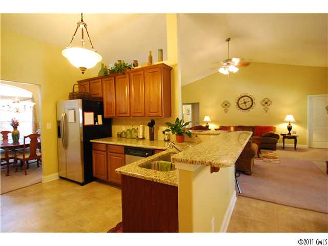 7209 Caley Ln, Denver, NC 28037 photo 6