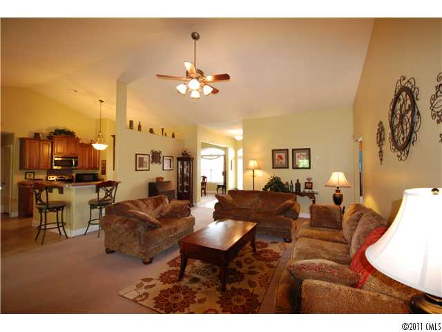 7209 Caley Ln, Denver, NC 28037 photo 4
