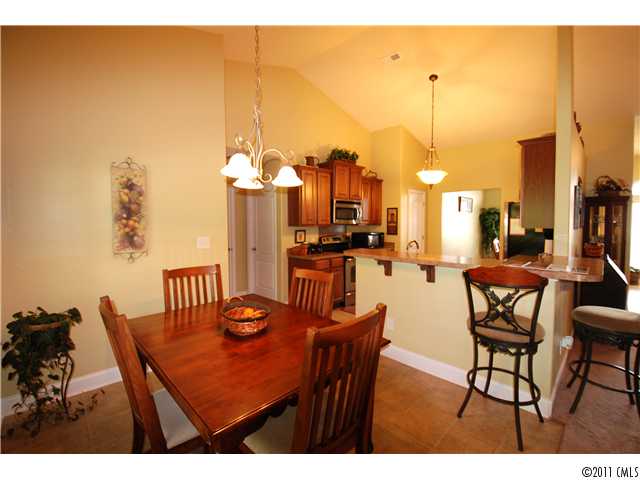 7209 Caley Ln, Denver, NC 28037 photo 7