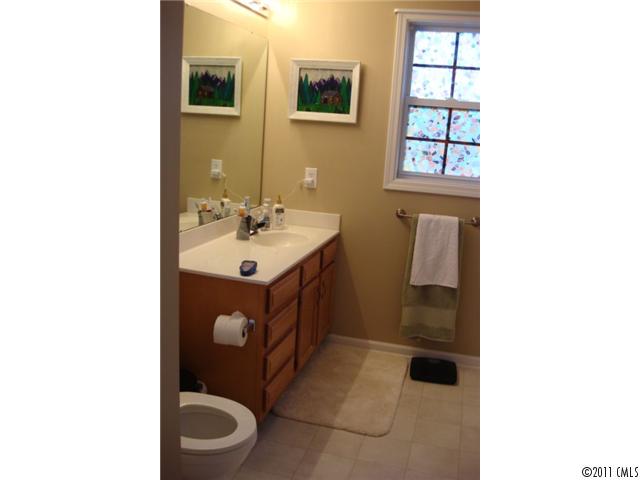 4136 SE Ringtail Ct, Concord, NC 28025 photo 14