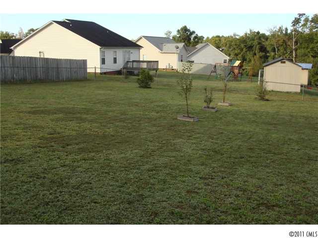 4136 SE Ringtail Ct, Concord, NC 28025 photo 16