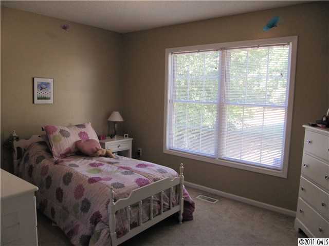 411 Double Eagle Trce, Clover, SC 29710 photo 10