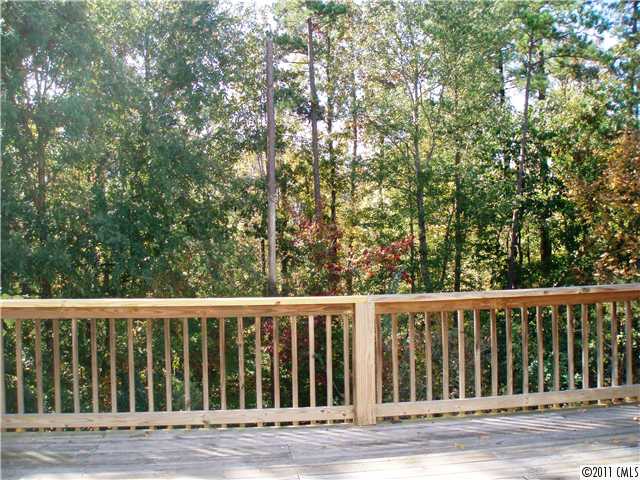 7680 Black Hawk Ln, Tega Cay, SC 29708 photo 13
