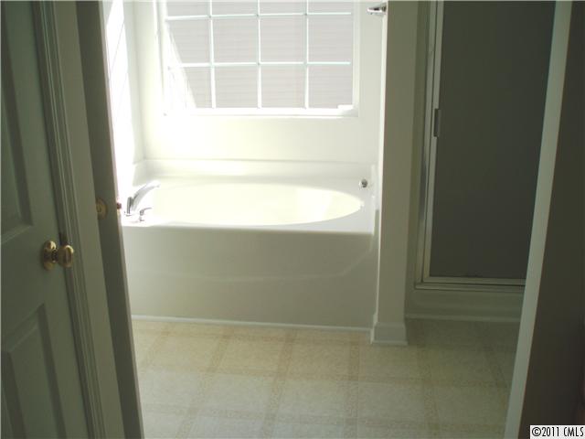 7680 Black Hawk Ln, Tega Cay, SC 29708 photo 9
