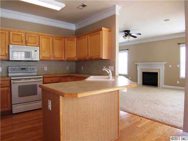 9624 Willow Leaf Ln, Cornelius, NC 28031 photo 6
