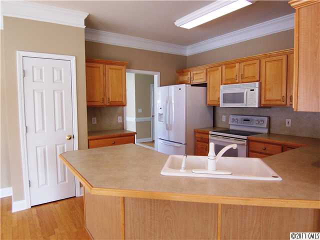9624 Willow Leaf Ln, Cornelius, NC 28031 photo 5