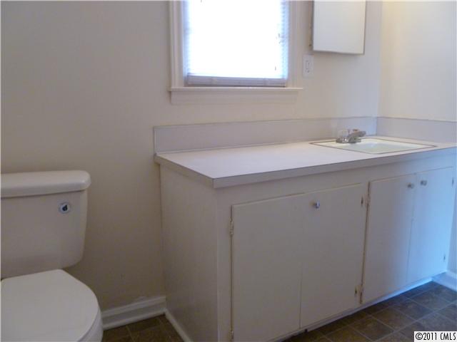 223 Lakeside Ave, Davidson, NC 28036 photo 7