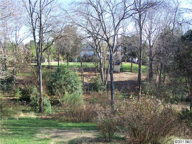 111 S Lynbrook Dr, Davidson, NC 28036 photo 15
