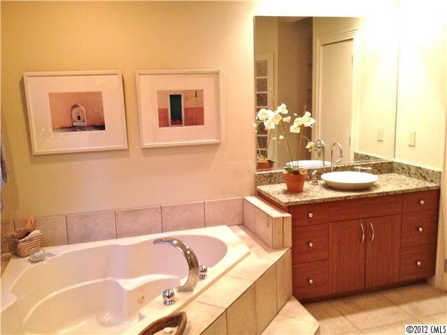 20210 Shearer Rd, Davidson, NC 28036 photo 10