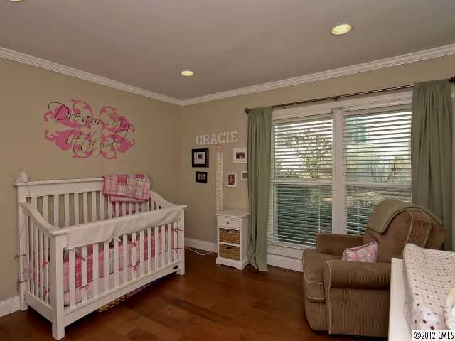 3122 Point Clear Dr, Tega Cay, SC 29708 photo 10