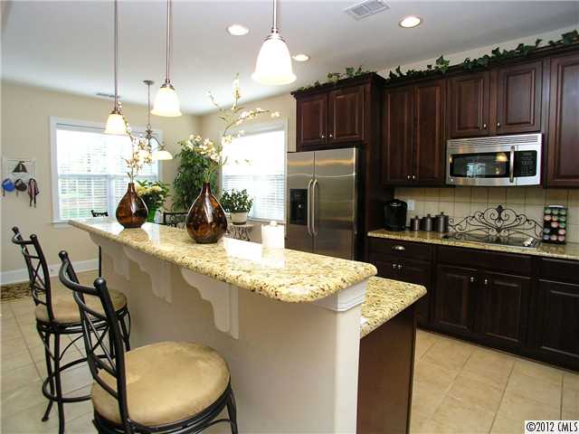 174 Arrow Point Ln, Davidson, NC 28036 photo 2