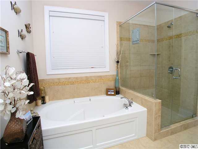 174 Arrow Point Ln, Davidson, NC 28036 photo 10