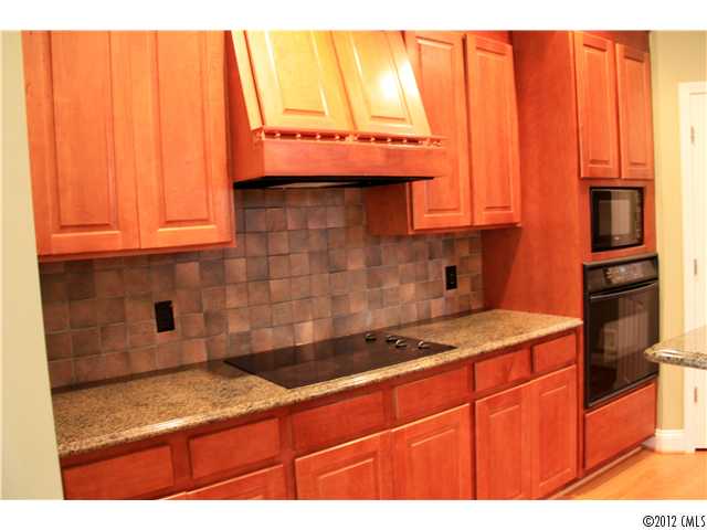 8608 Kiser Commons Dr, Terrell, NC 28682 photo 6