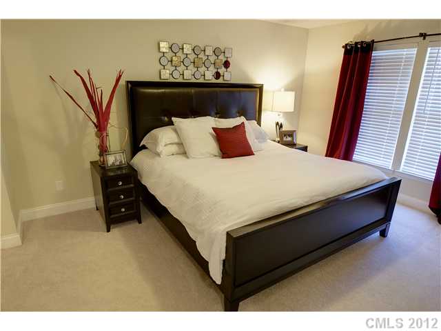 20101 Henderson M Rd #M, Cornelius, NC 28031 photo 7