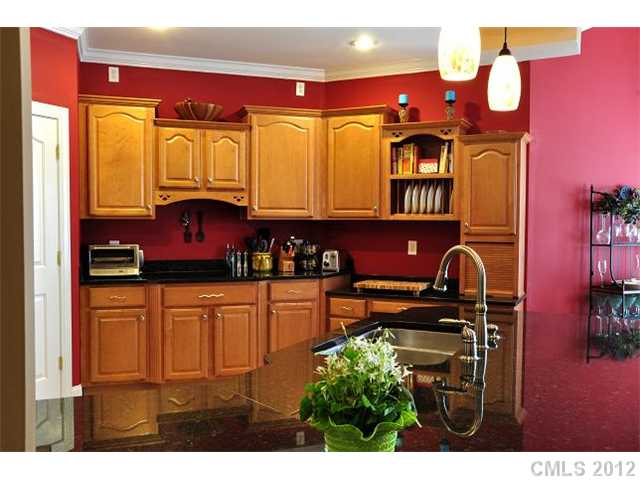 11865 Hidden Forest Ln, Davidson, NC 28036 photo 5