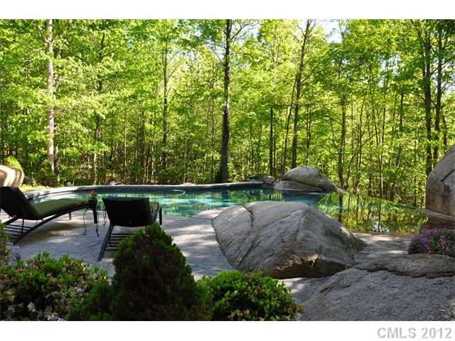 11865 Hidden Forest Ln, Davidson, NC 28036 photo 11