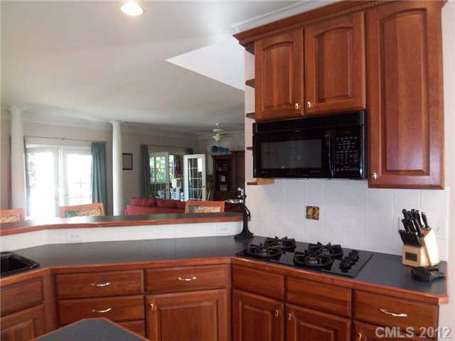 16222 Winnow Ct, Cornelius, NC 28031 photo 7