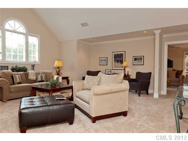 19409 River Falls Dr, Davidson, NC 28036 photo 11