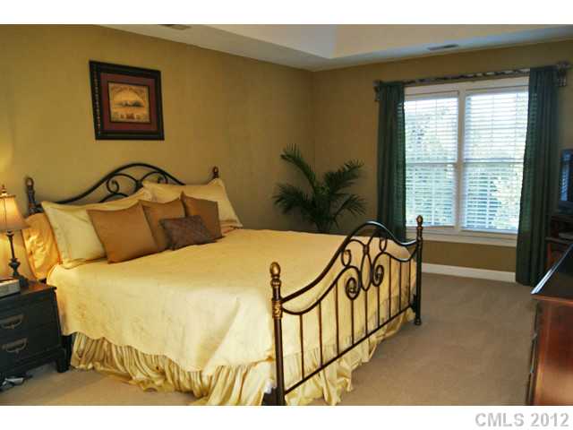 22121 Satilla Dr, Cornelius, NC 28031 photo 9