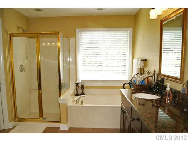 22121 Satilla Dr, Cornelius, NC 28031 photo 10