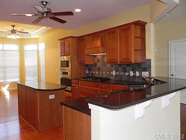 49156 Gladiolus St, Indian Land, SC 29707 photo 2