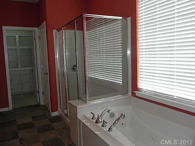 49156 Gladiolus St, Indian Land, SC 29707 photo 12