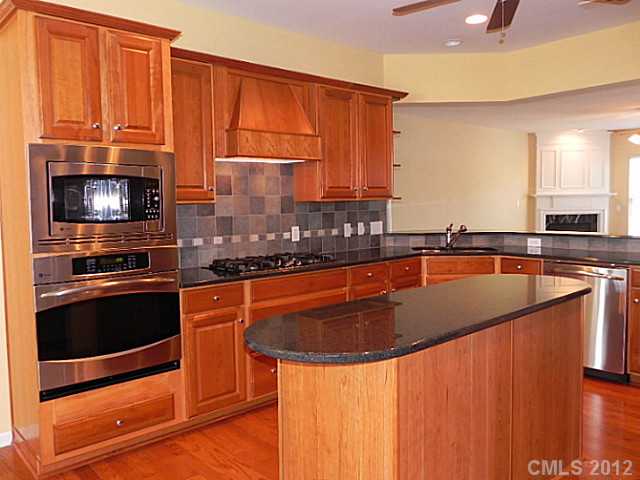 49156 Gladiolus St, Indian Land, SC 29707 photo 3