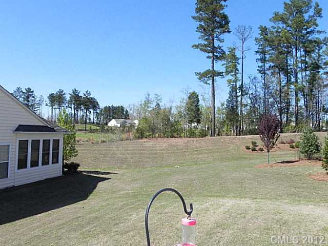 49156 Gladiolus St, Indian Land, SC 29707 photo 14