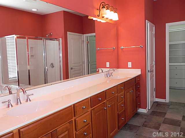 49156 Gladiolus St, Indian Land, SC 29707 photo 8