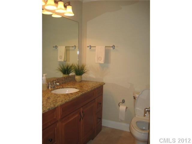 1006 Palmyra Dr, Tega Cay, SC 29708 photo 7