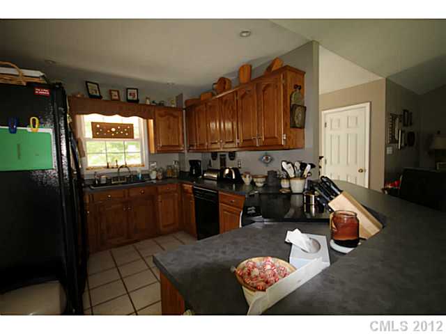 429 Pine Forest Ct, Vale, NC 28168 photo 6