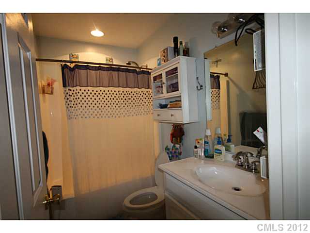 429 Pine Forest Ct, Vale, NC 28168 photo 4