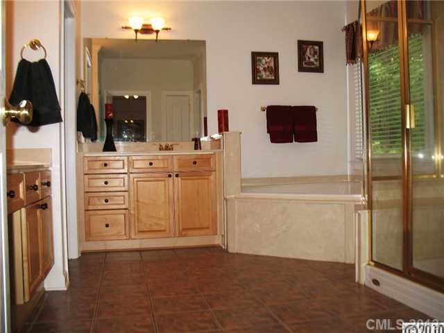 18737 Dembridge Dr, Davidson, NC 28036 photo 6