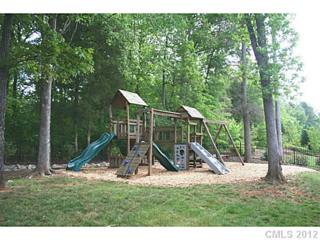 18533 Rollingdale Ln, Davidson, NC 28036 photo 16