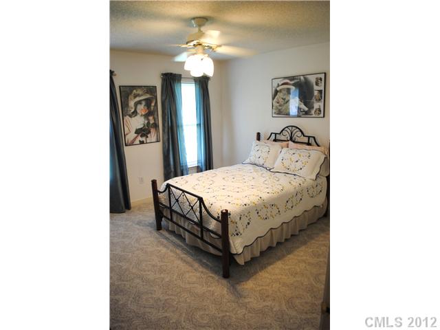 5350 Chester Ct, Davidson, NC 28036 photo 11