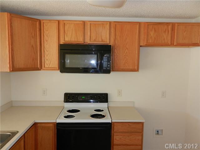 7038 Blithe Low Pl, Charlotte, NC 28273 photo 3