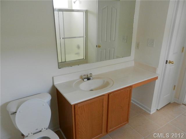 7038 Blithe Low Pl, Charlotte, NC 28273 photo 4