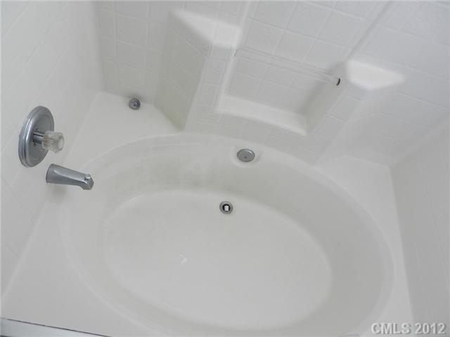 7038 Blithe Low Pl, Charlotte, NC 28273 photo 5