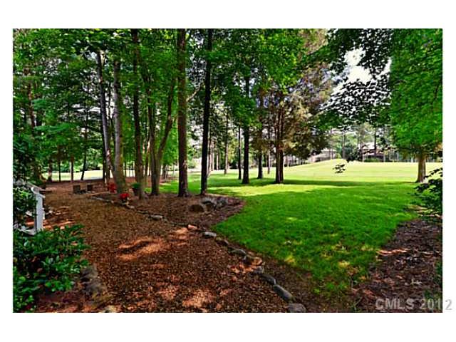 18840 Greyton Ln, Davidson, NC 28036 photo 16