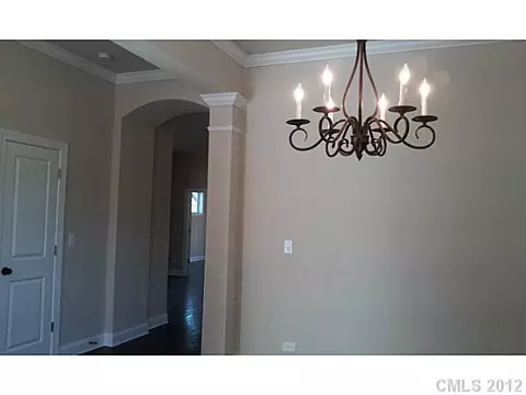 19030 Cypress Garden Dr, Davidson, NC 28036 photo 11