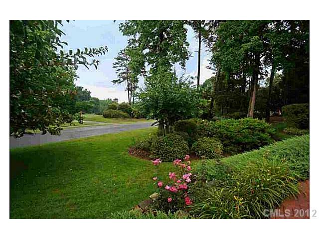 18908 River Crossing Blvd, Davidson, NC 28036 photo 6
