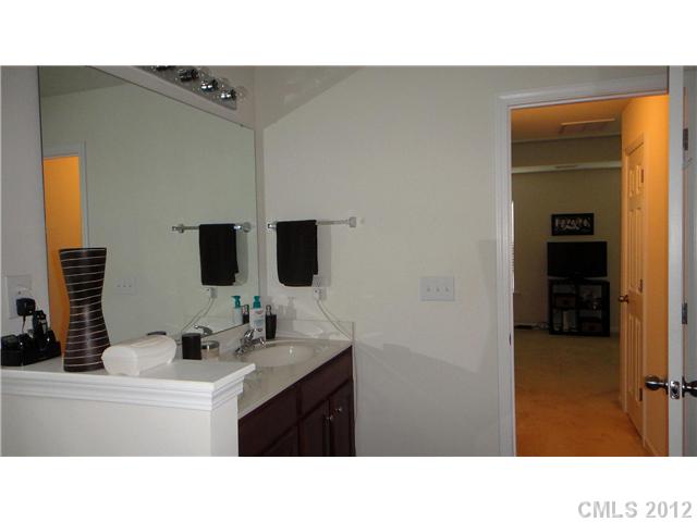 3343 Streamside Dr, Davidson, NC 28036 photo 10
