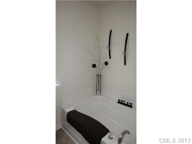 3343 Streamside Dr, Davidson, NC 28036 photo 11
