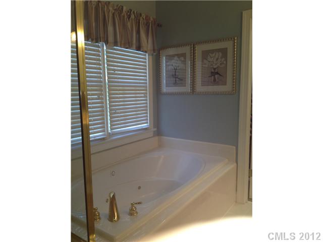 20435 Middletown Rd, Cornelius, NC 28031 photo 8
