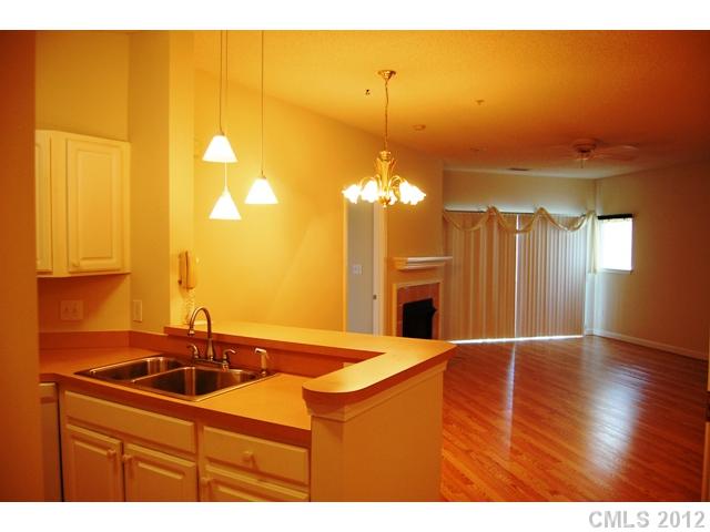 1331 Torrence 22 Cir #22, Davidson, NC 28036 photo 4