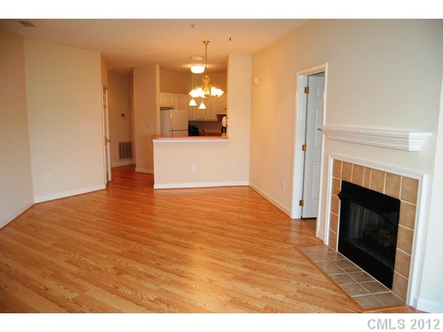 1331 Torrence 22 Cir #22, Davidson, NC 28036 photo 9