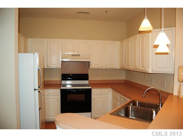 1331 Torrence 22 Cir #22, Davidson, NC 28036 photo 6
